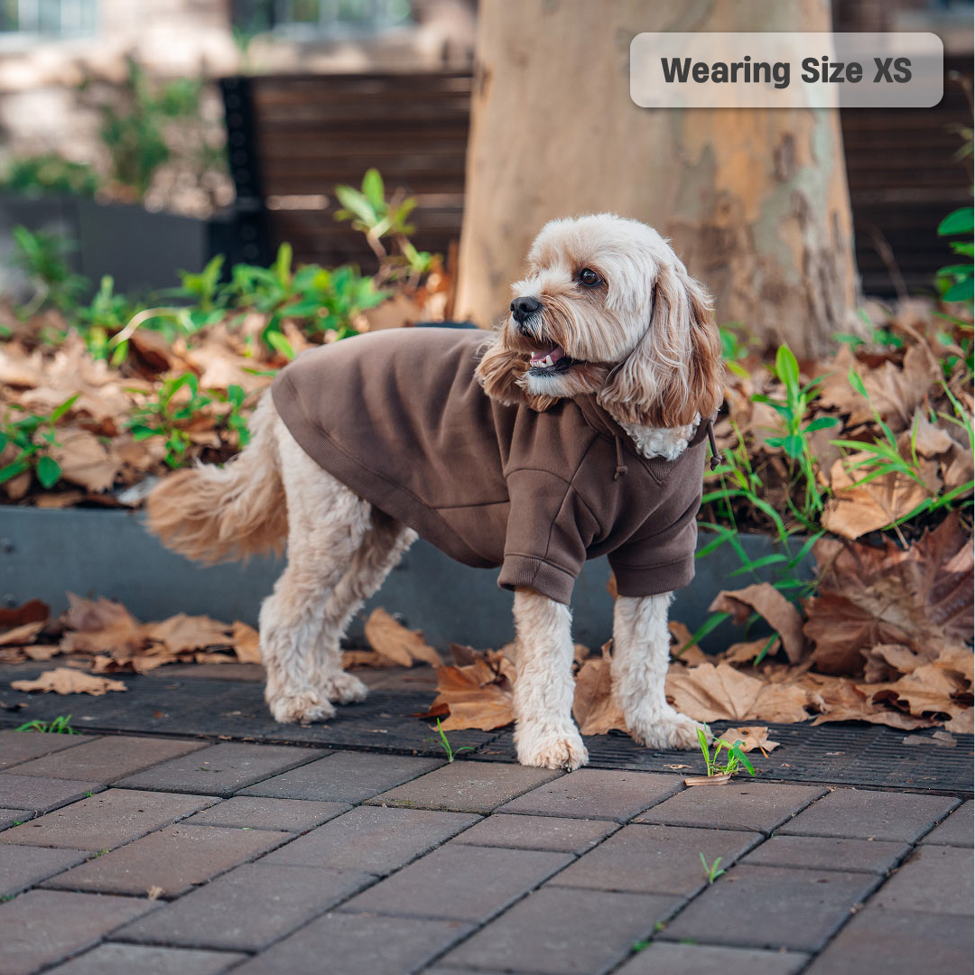 SIgnature Dog Hoodies - Brown