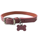 Essentials Collar - Black