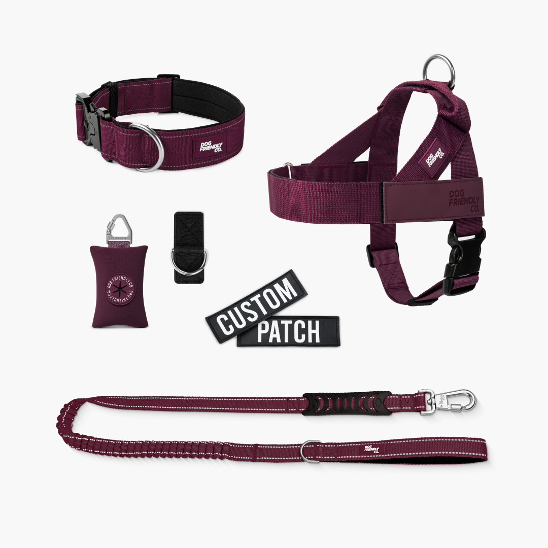 Ultimate No-Pull Bundle – Influencer Exclusive (Black)