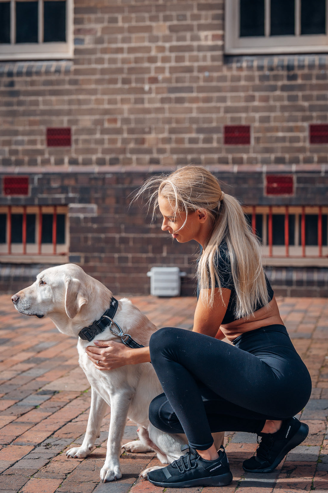 Why Is Your Dog Always Itchy? It's Most Likely Not Their Breed