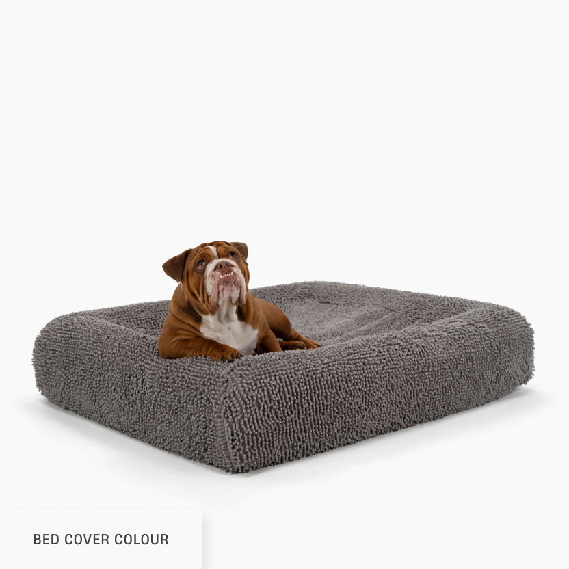 Sleep Set - Champagne