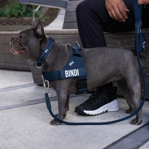 Ultimate No-Pull Bundle - Navy Blue