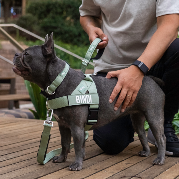 Ultimate No-Pull Bundle - Khaki