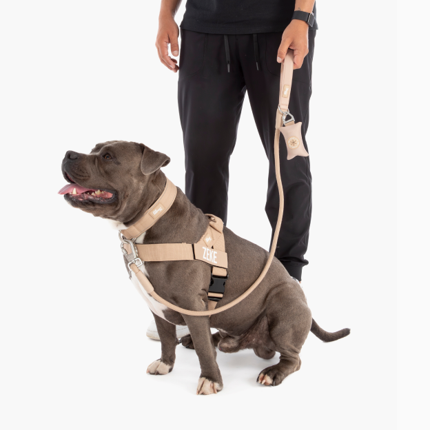 Ultimate No-Pull Bundle - Brown