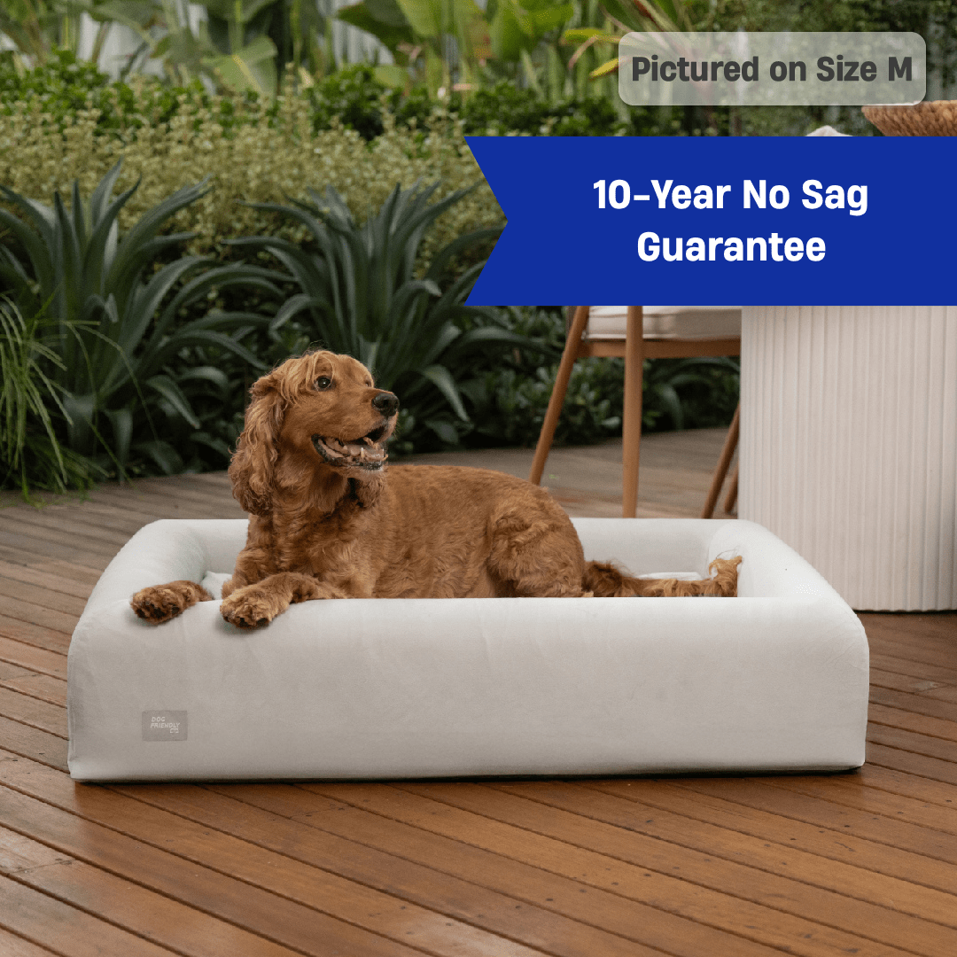 Premium Orthopedic Memory Foam Dog Bed - Grey (Small)