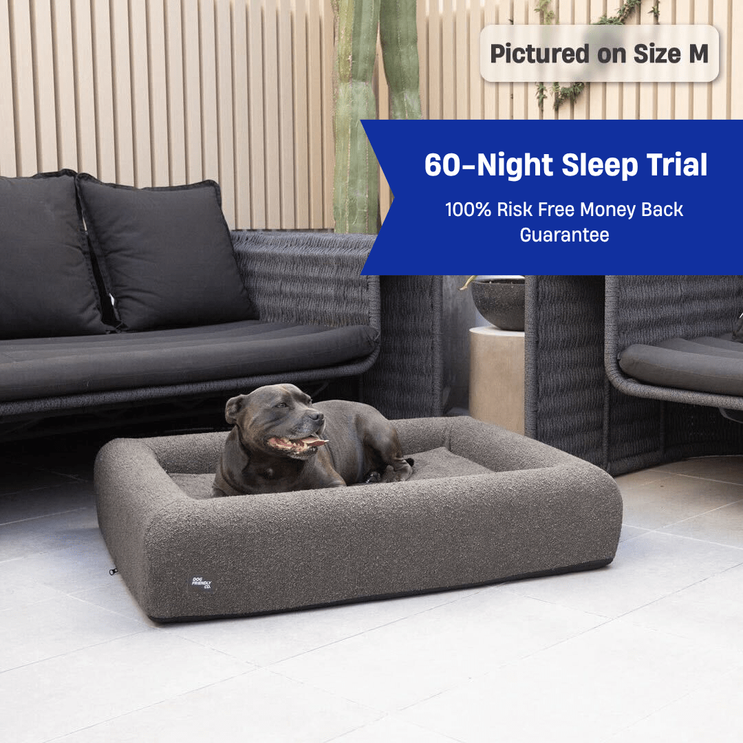 Premium Orthopedic Memory Foam Dog Bed - Brown Bouclé (Small)