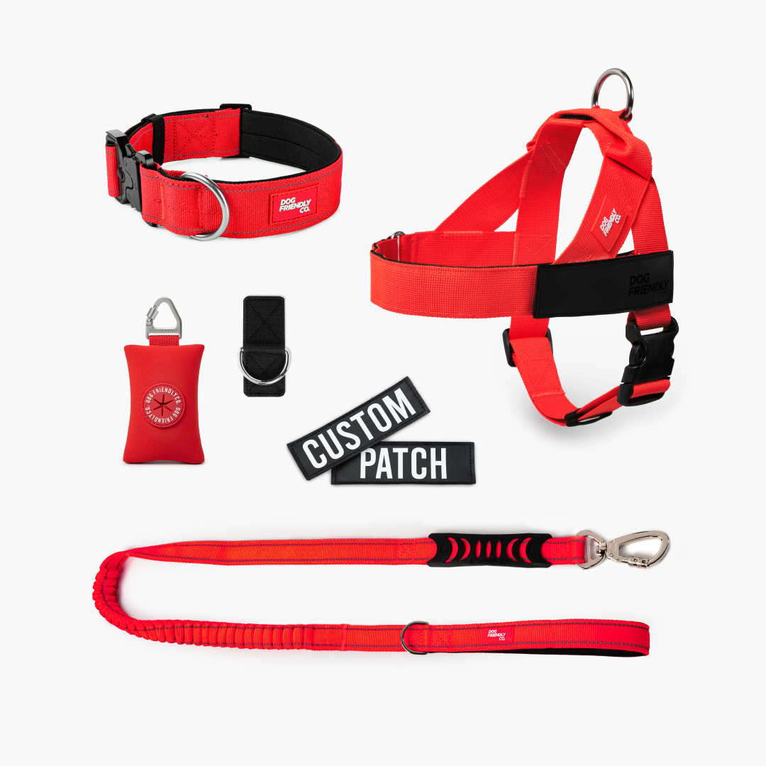 Ultimate No-Pull Bundle – Influencer Exclusive (Black)