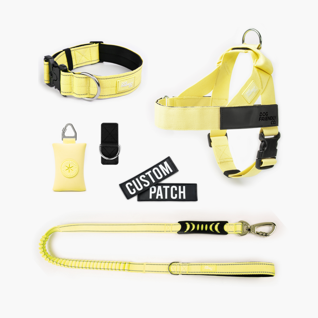 Ultimate No-Pull Bundle – Influencer Exclusive (Black)