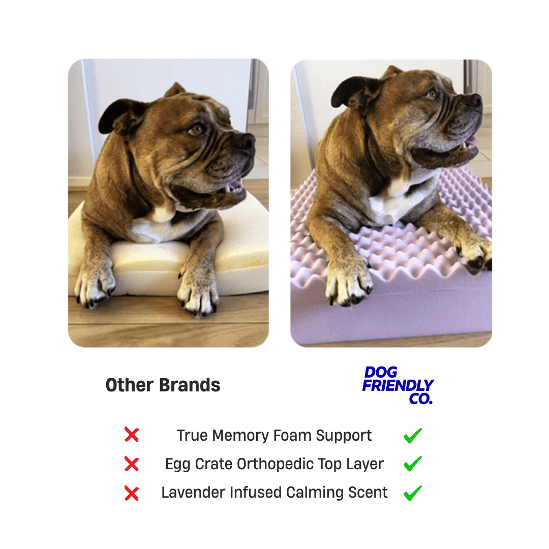 Premium Orthopedic Memory Foam Dog Bed - Green Bouclé (Small)