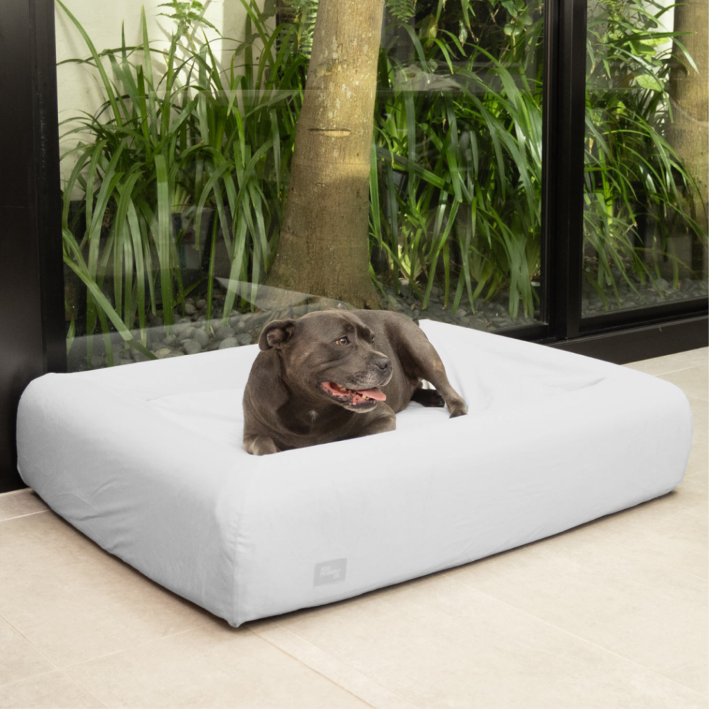 Velvet Easy Fit Dog Bed Cover - Grey