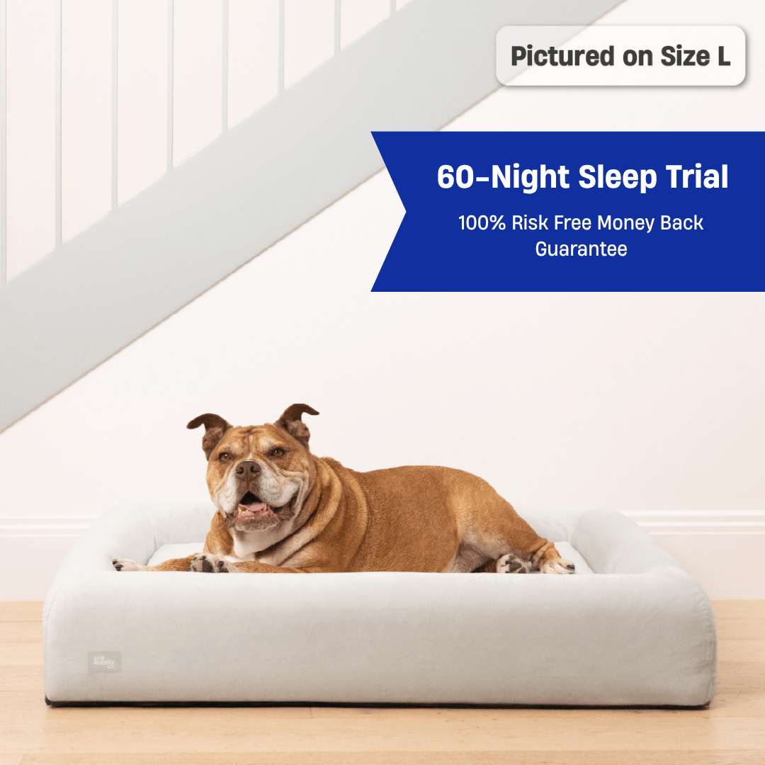Premium Orthopedic Memory Foam Dog Bed - Grey (Small)