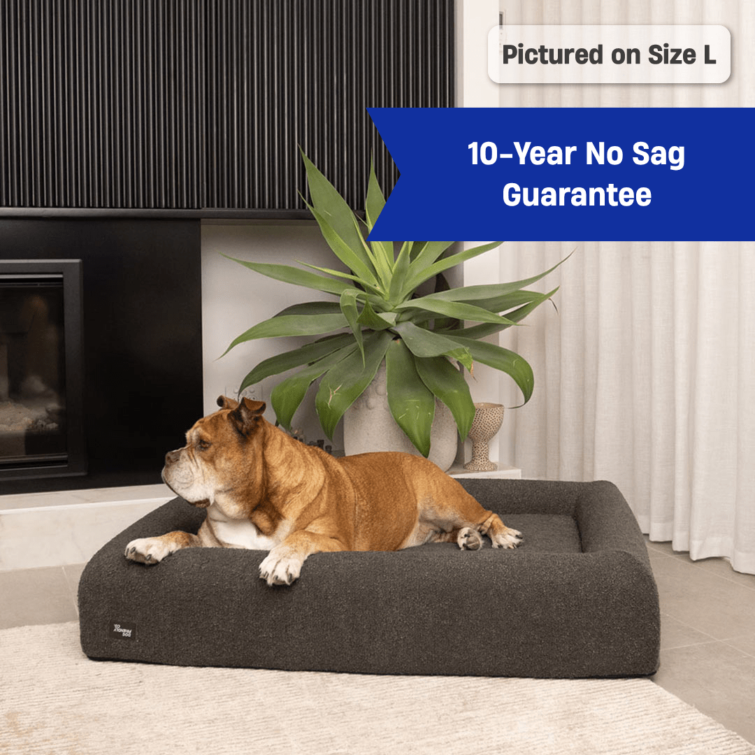 Premium Orthopedic Memory Foam Dog Bed - Brown Bouclé (Small)