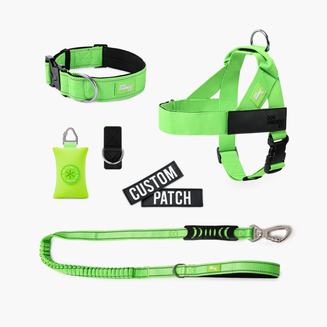 Ultimate No-Pull Bundle – Influencer Exclusive (Black)