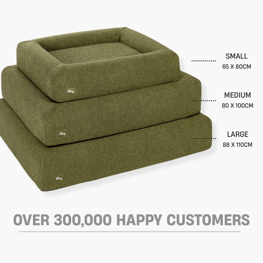 Premium Orthopedic Memory Foam Dog Bed - Green Bouclé (Small)