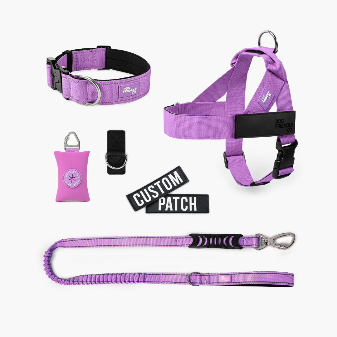 Ultimate No-Pull Bundle – Influencer Exclusive (Black)