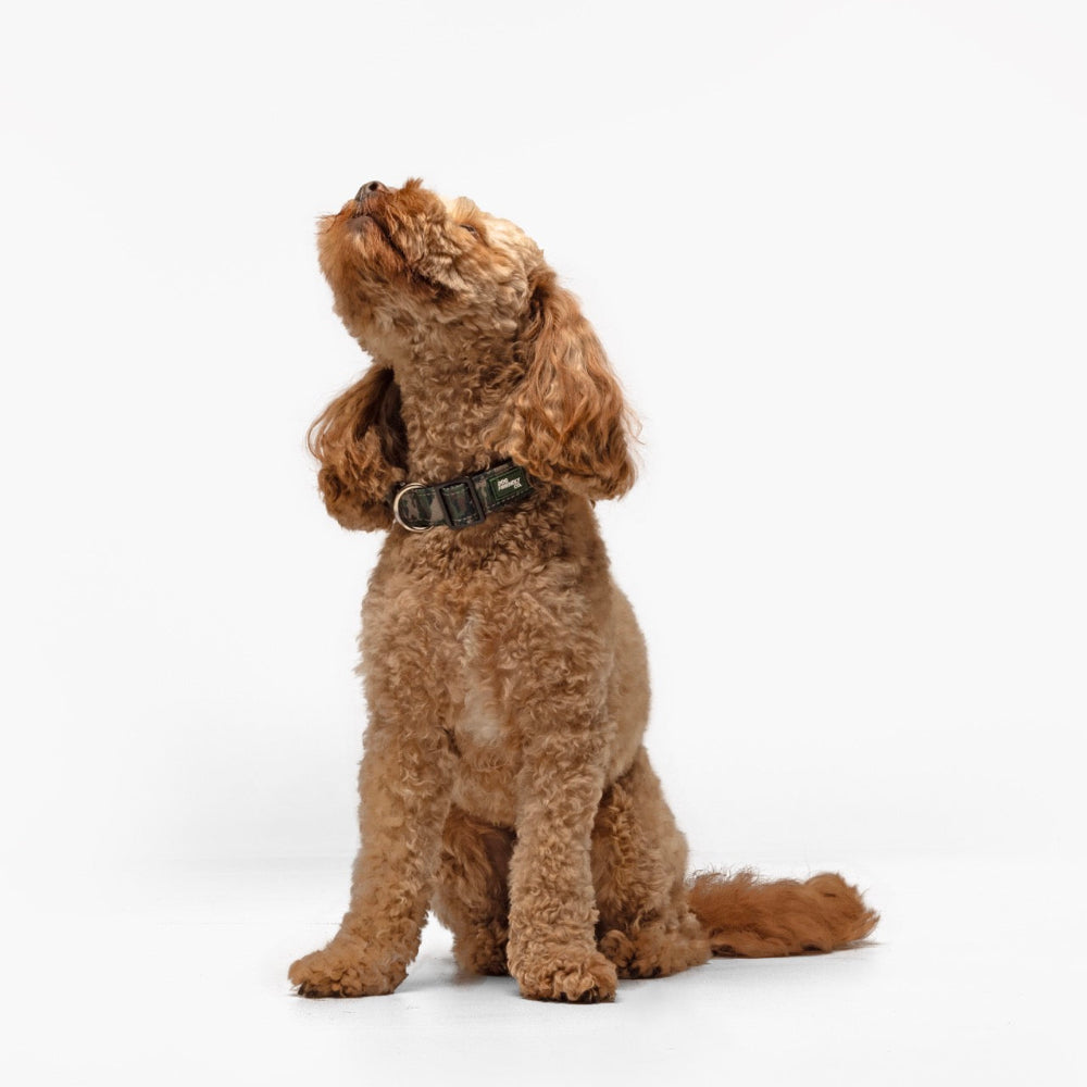 Ultimate No-Pull Bundle - Green Camo