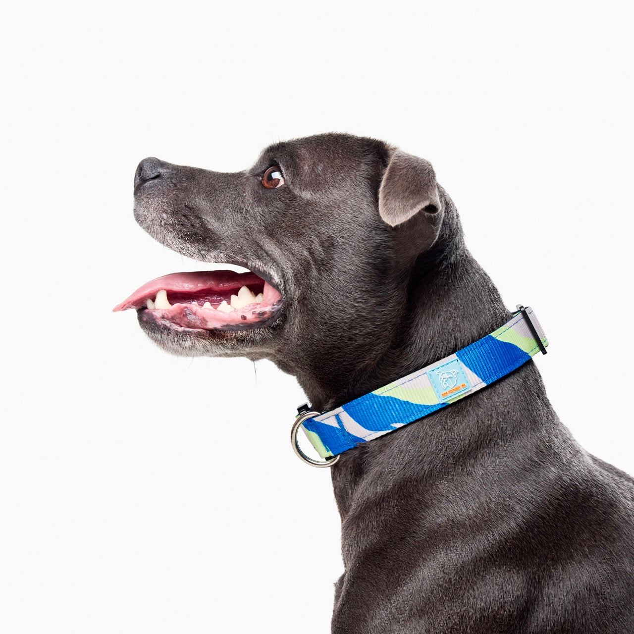 Walk#001 Tactical Dog Collar