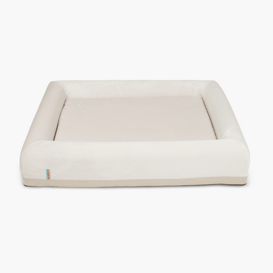 Premium Orthopedic Memory Foam Dog Bed - Champagne (Large)