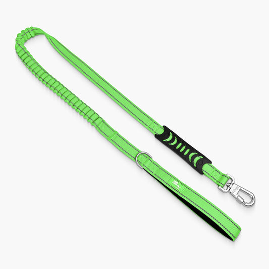 Bungee Dog Leash - Neon Green