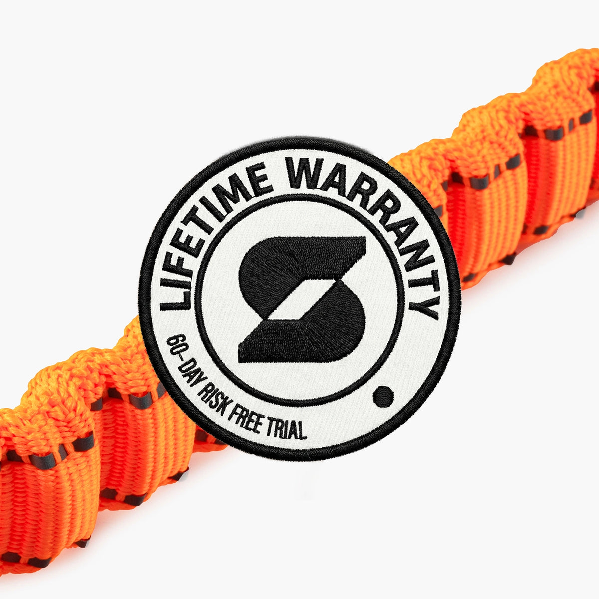 Bungee Dog Leash - Hi-Vis Orange