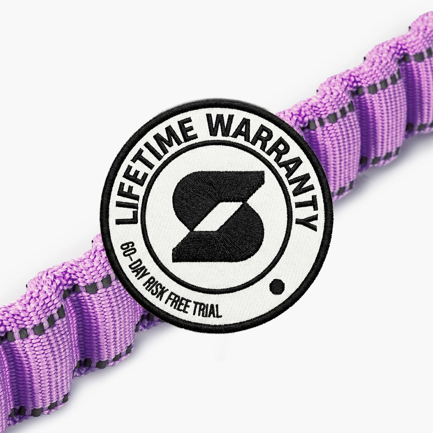 Bungee Dog Leash - Purple