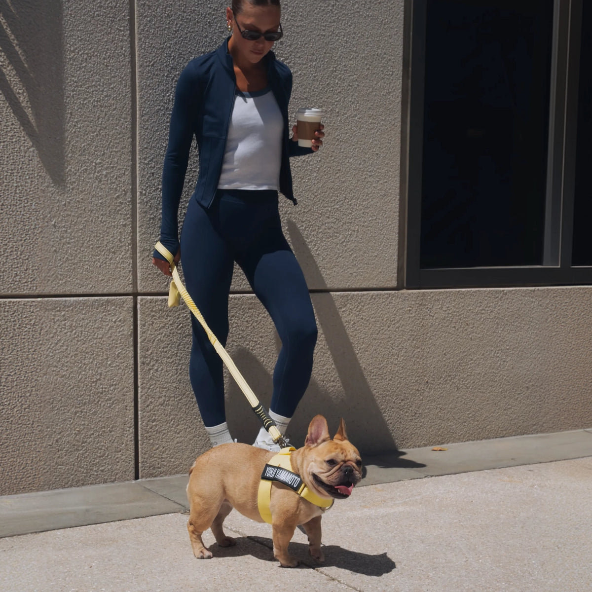 Bungee Dog Leash - Yellow