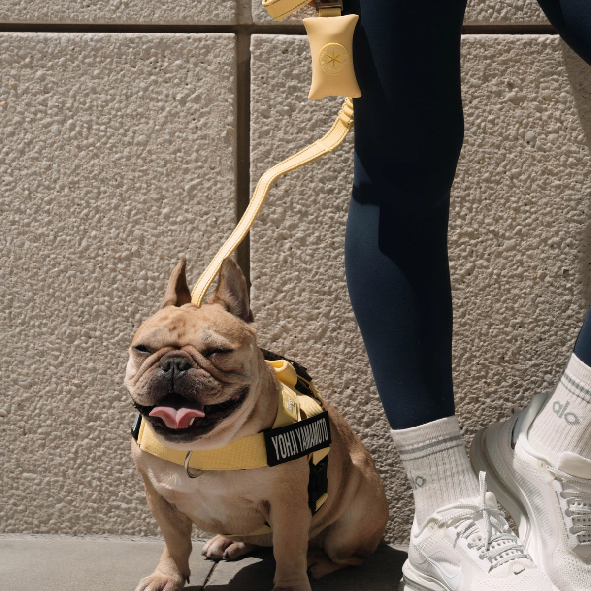 Bungee Dog Leash - Yellow