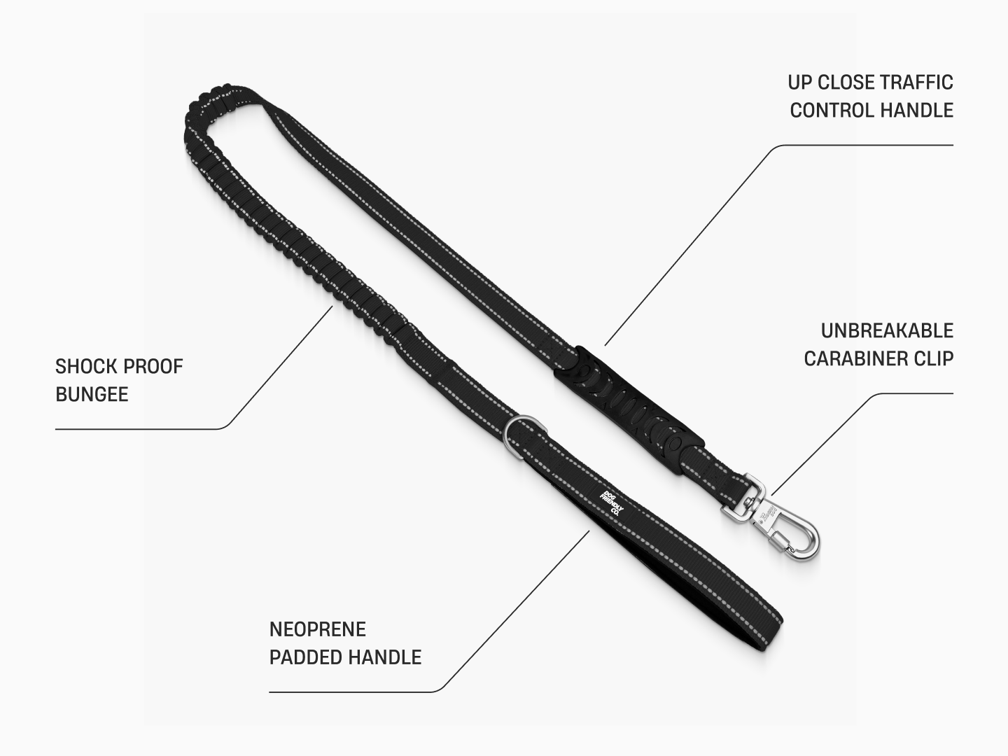 Bungee Dog Leash