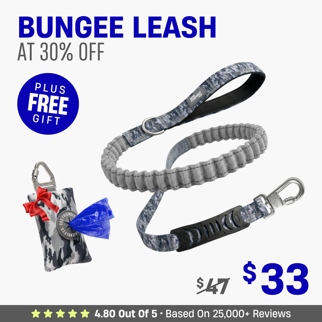 Get Leash at 30% OFF + FREE Poop Bag Holder