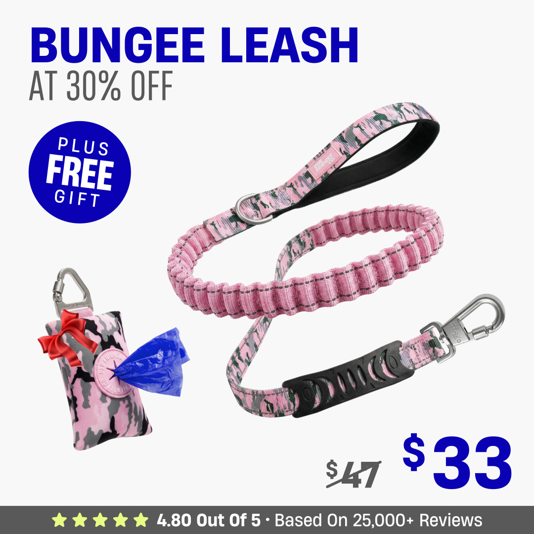 Get Leash at 30% OFF + FREE Poop Bag Holder