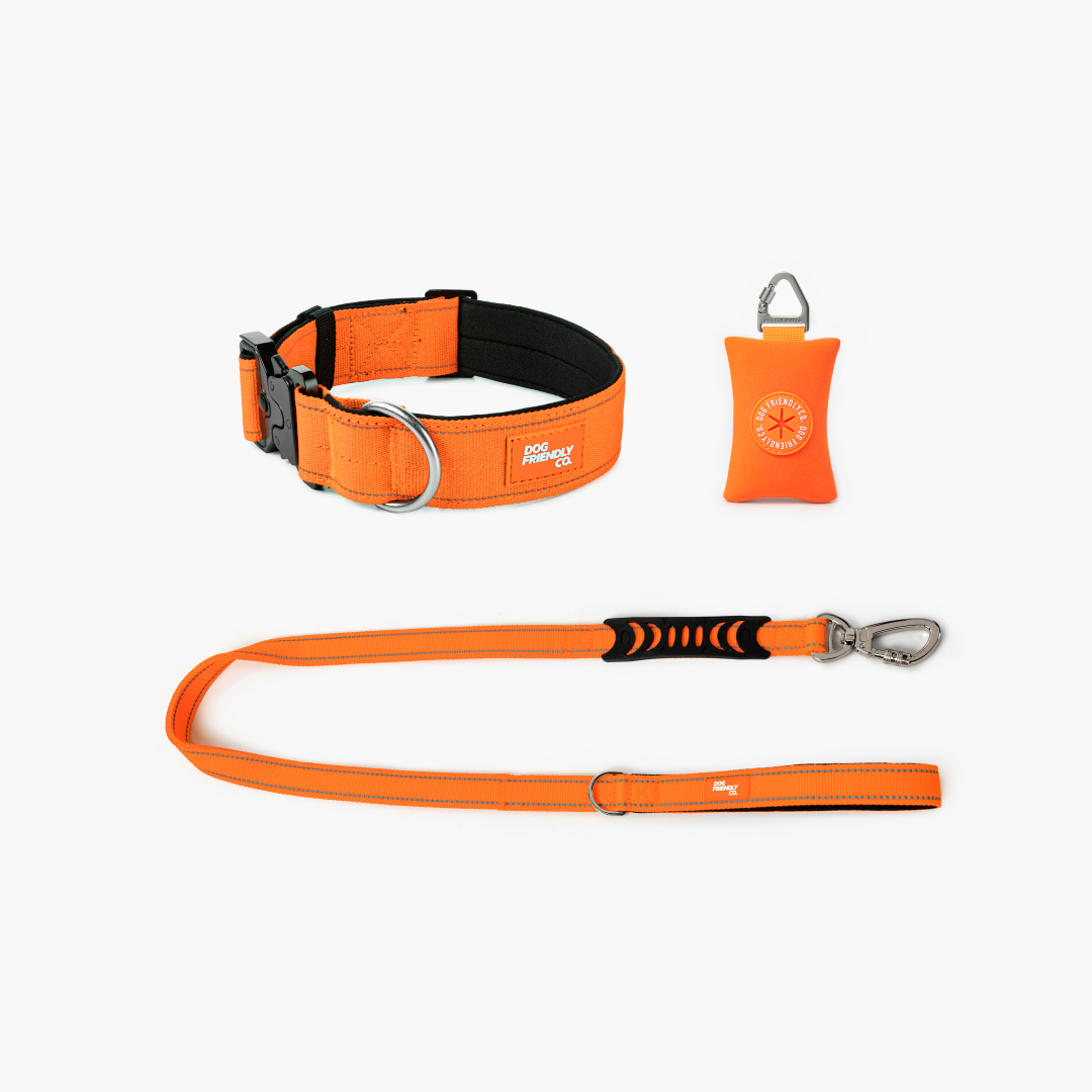 Collar Walk Set - Hi-Vis Orange