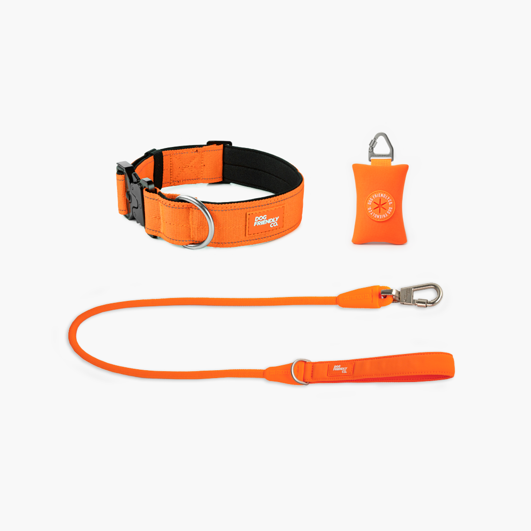 Collar Walk Set - Hi-Vis Orange