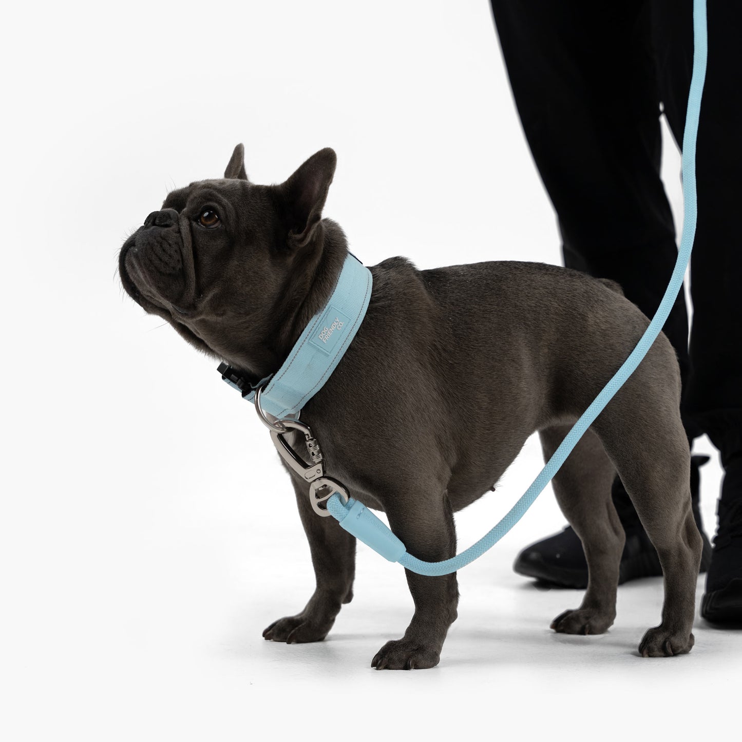 Collar Walk Set - Sky Blue