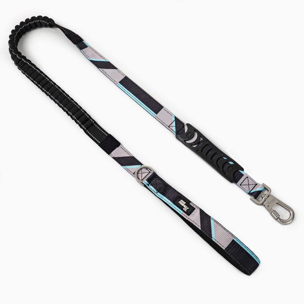 Bungee Dog Leash - Limited Edition Blue