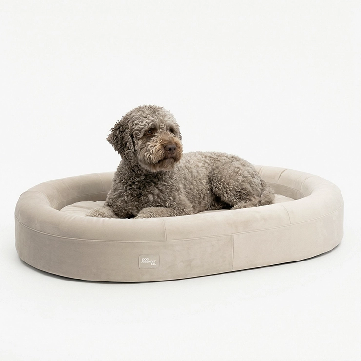 Chill Pill Memory Foam Dog Bed - Beige (Small)