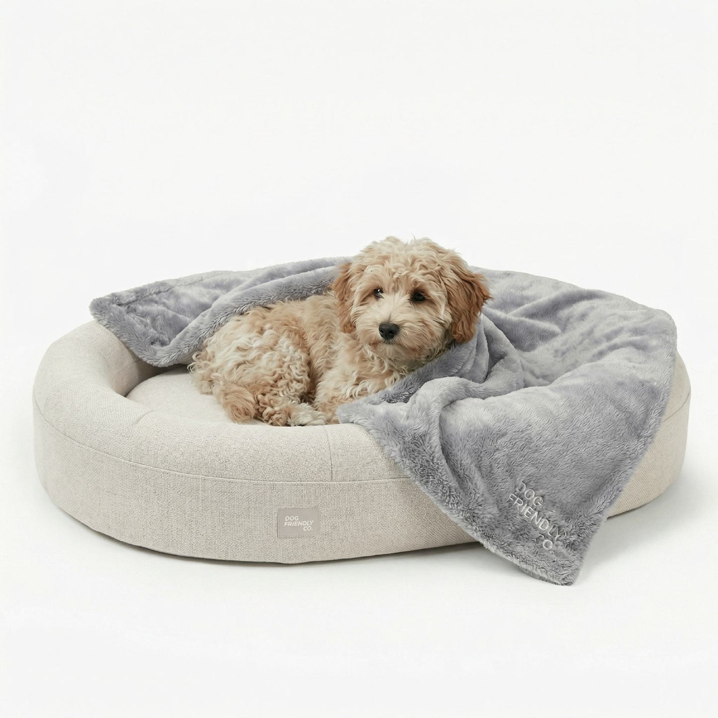Chill Pill Memory Foam Dog Bed - Beige (Small)