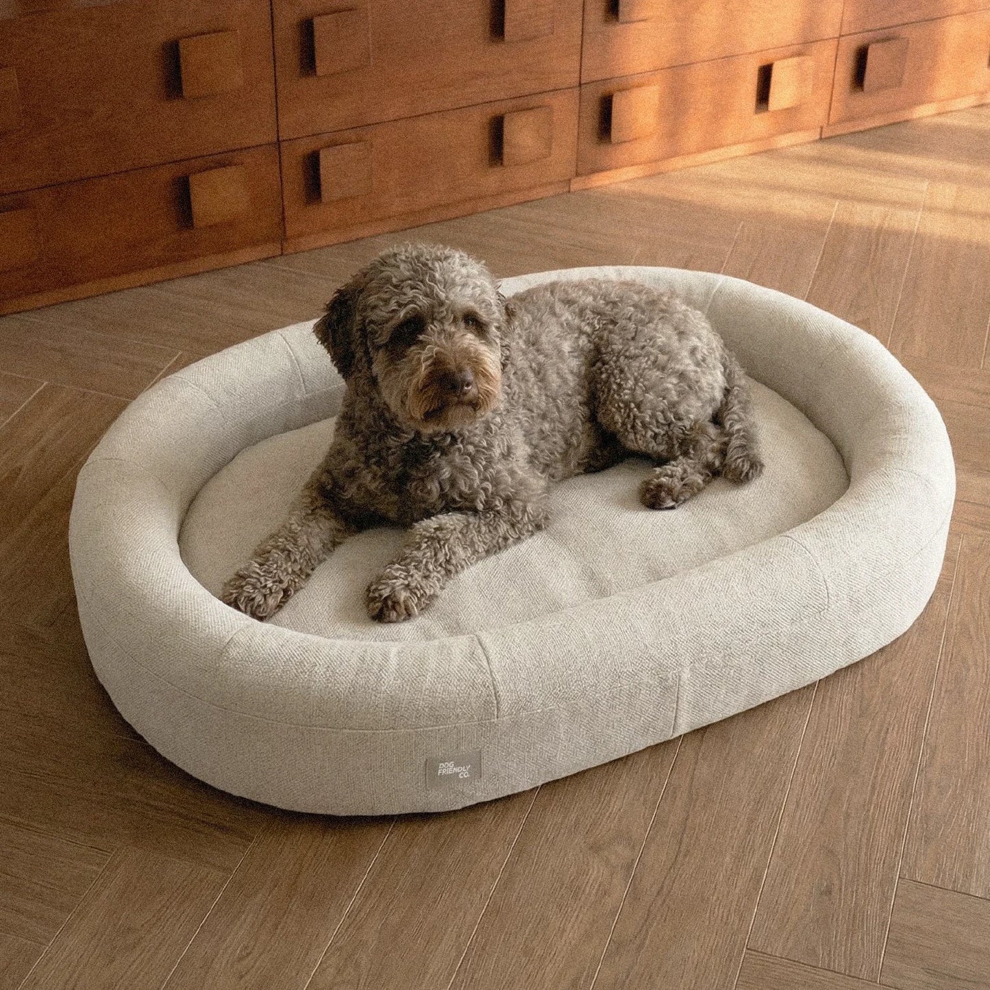 Chill Pill Memory Foam Dog Bed - Beige (Medium)
