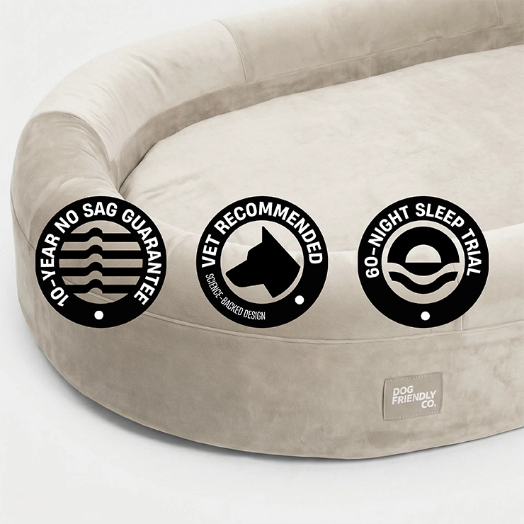 Chill Pill Memory Foam Dog Bed - Beige (Small)