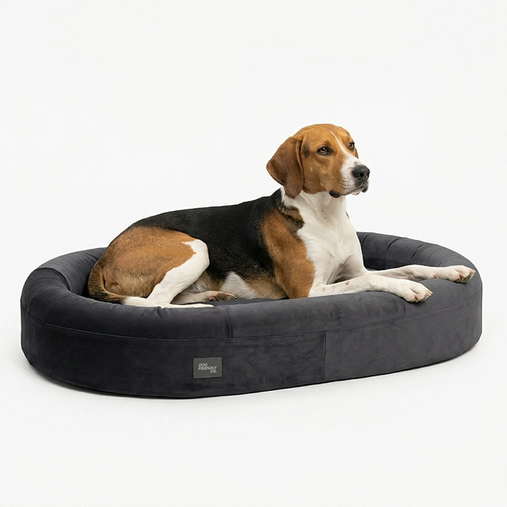 Chill Pill Memory Foam Dog Bed - Charcoal (Medium)