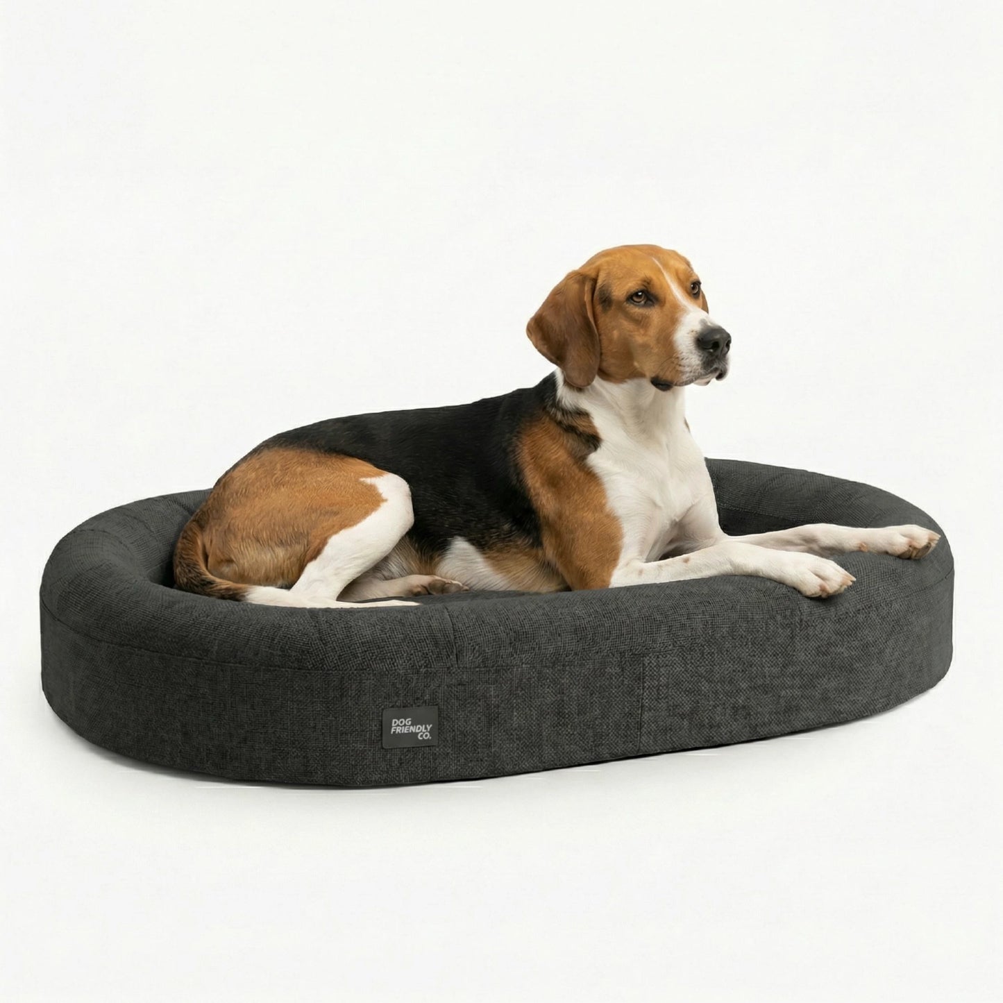 Chill Pill Memory Foam Dog Bed - Charcoal (Medium)