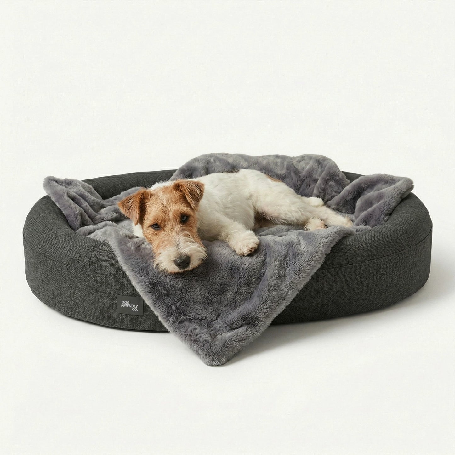 Chill Pill Memory Foam Dog Bed - Charcoal (Medium)