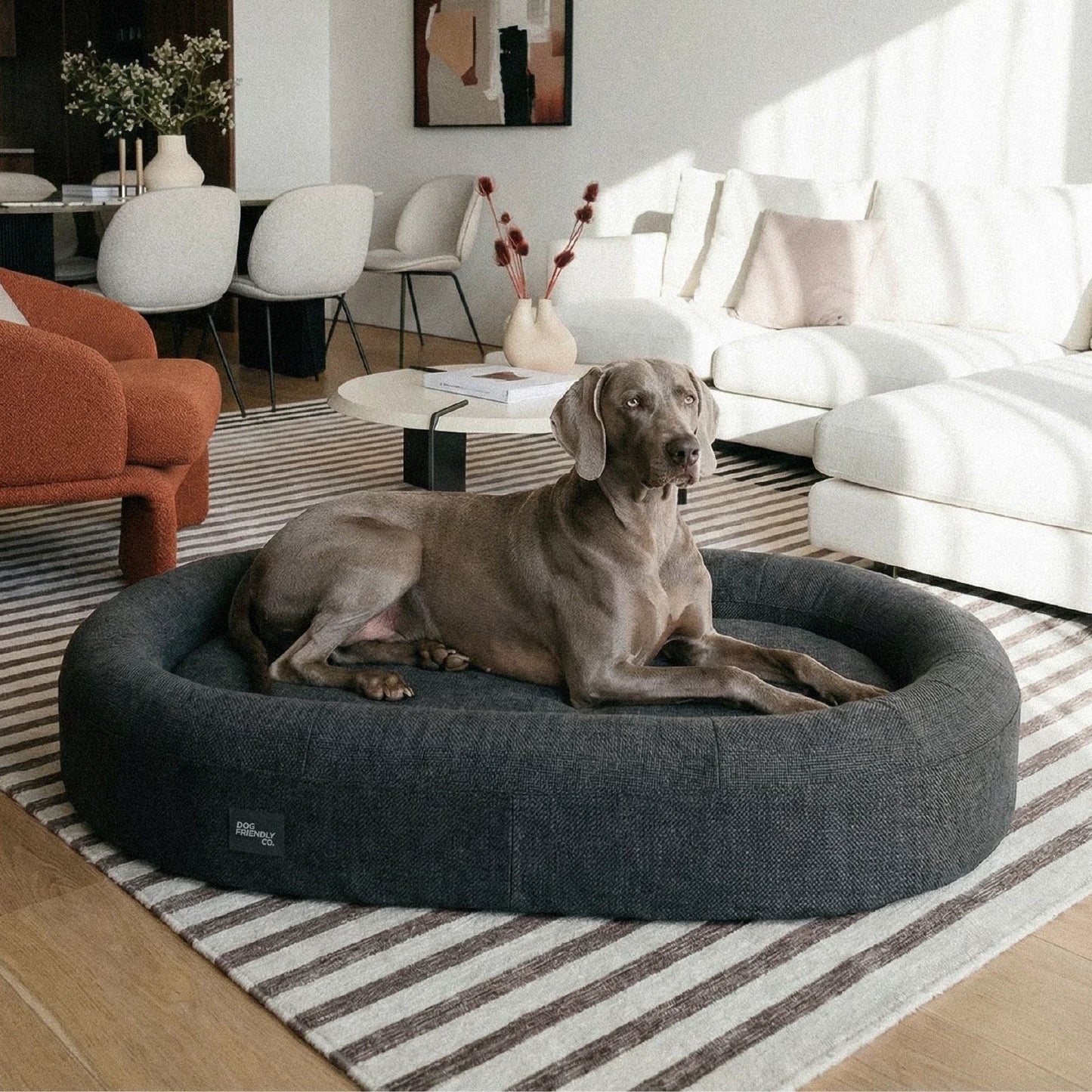 Chill Pill Memory Foam Dog Bed - Charcoal (Small)