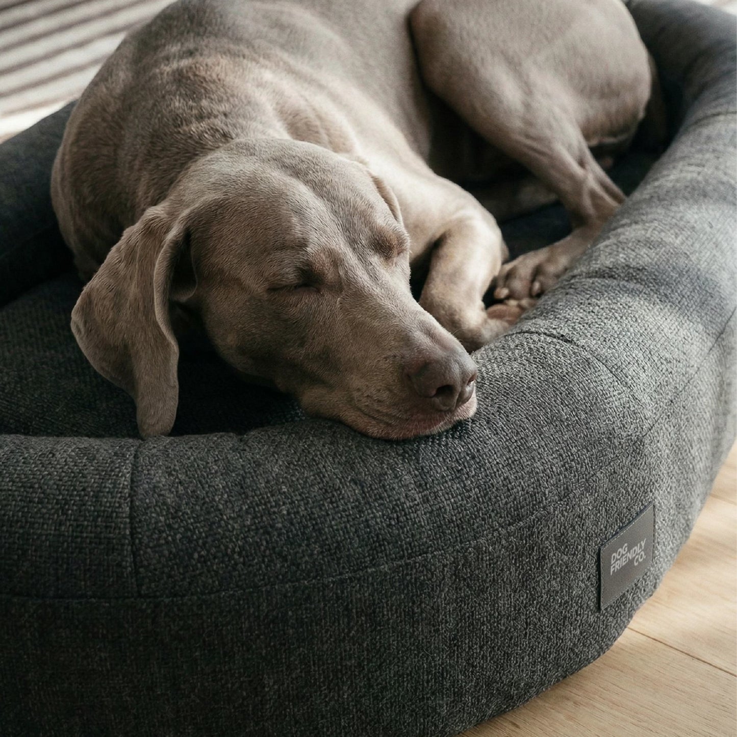 Chill Pill Memory Foam Dog Bed - Charcoal (Small)