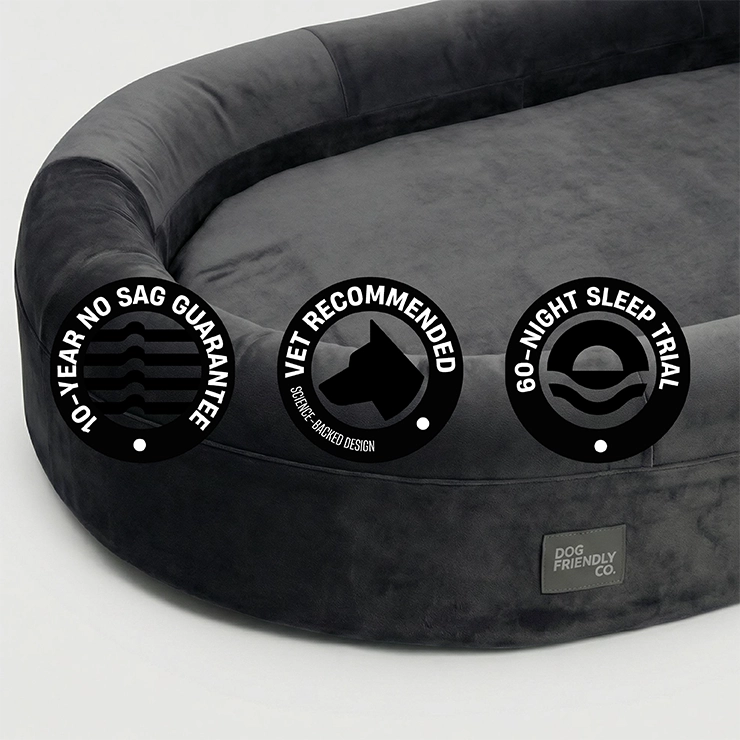 Chill Pill Memory Foam Dog Bed - Charcoal (Medium)