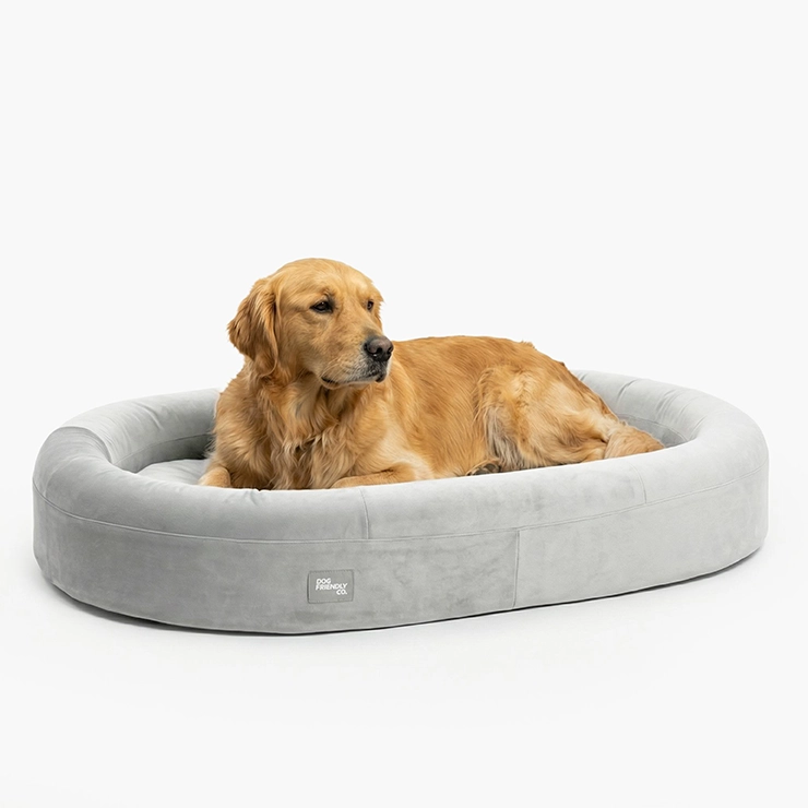 Chill Pill Memory Foam Dog Bed - Grey (Medium)