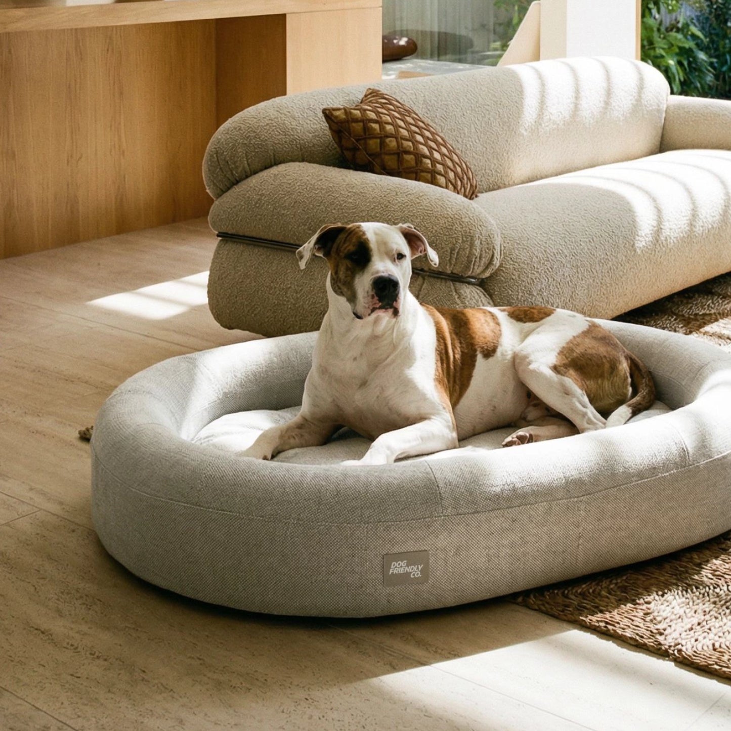 Chill Pill Memory Foam Dog Bed - Grey (Small)
