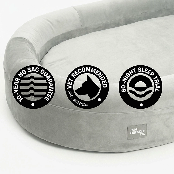 Chill Pill Memory Foam Dog Bed - Grey (Medium)