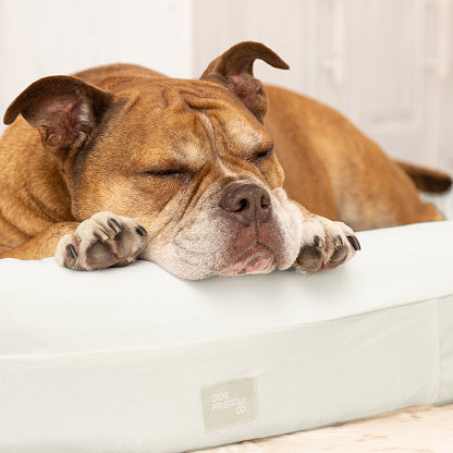 Chill Pill Velvet Easy Fit Cover - Beige