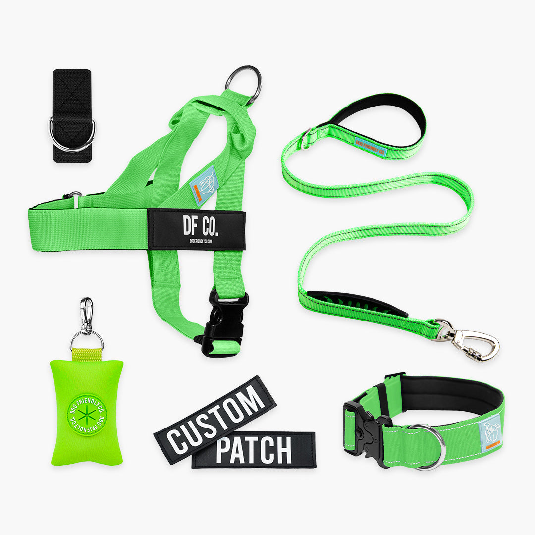 Ultimate No-Pull Bundle – Influencer Exclusive (Black)