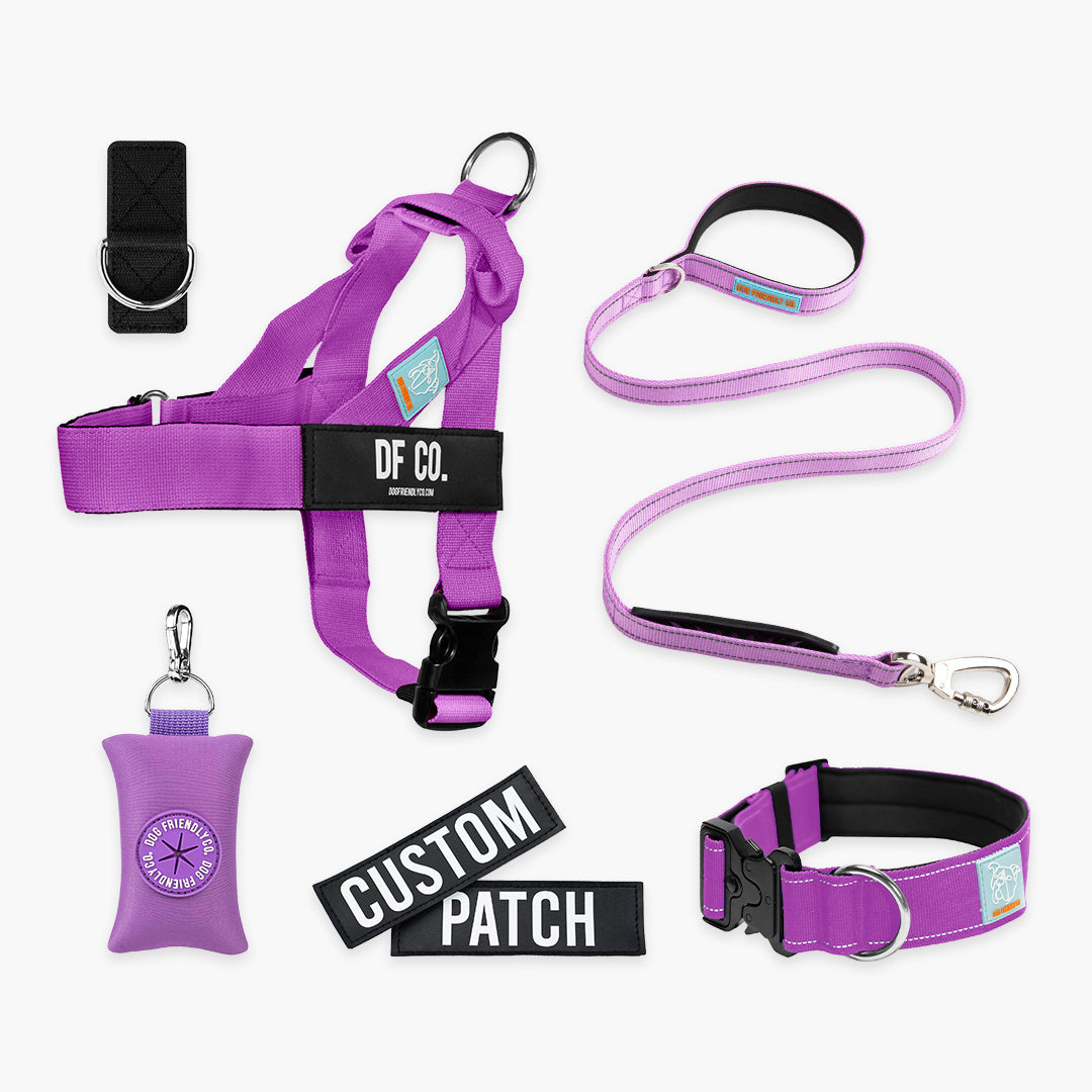 Ultimate No-Pull Bundle – Influencer Exclusive (Black)